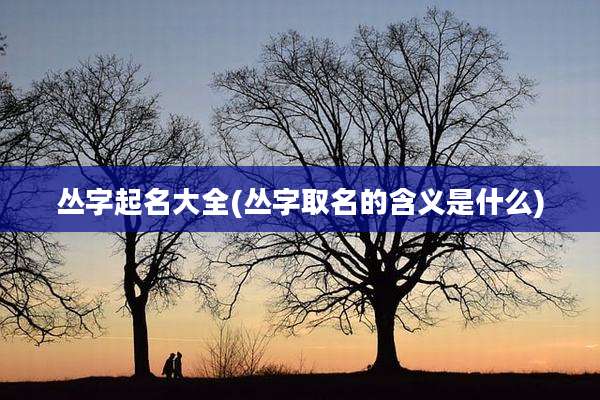 丛字起名大全(丛字取名的含义是什么)
