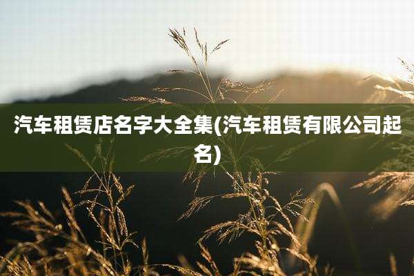 汽车租赁店名字大全集(汽车租赁有限公司起名)