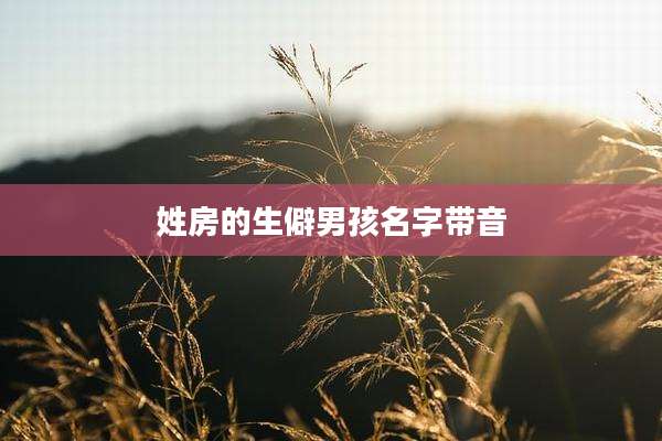 姓房的生僻男孩名字带音