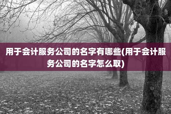用于会计服务公司的名字有哪些(用于会计服务公司的名字怎么取)
