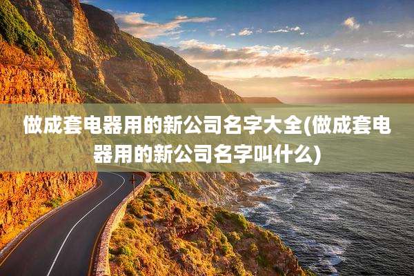 做成套电器用的新公司名字大全(做成套电器用的新公司名字叫什么)
