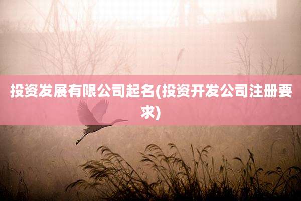 投资发展有限公司起名(投资开发公司注册要求)