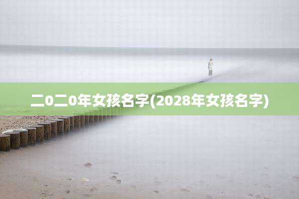 二0二0年女孩名字(2028年女孩名字)