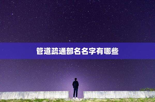 管道疏通部名名字有哪些