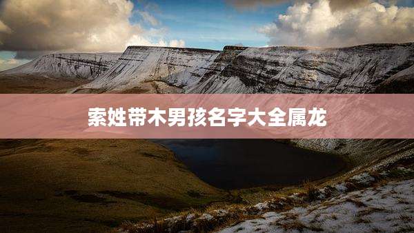 索姓带木男孩名字大全属龙