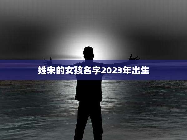 姓宋的女孩名字2023年出生