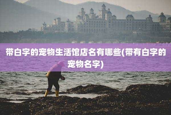 带白字的宠物生活馆店名有哪些(带有白字的宠物名字)