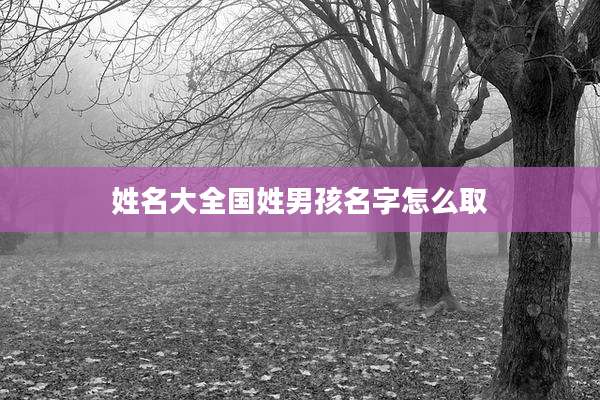 姓名大全国姓男孩名字怎么取