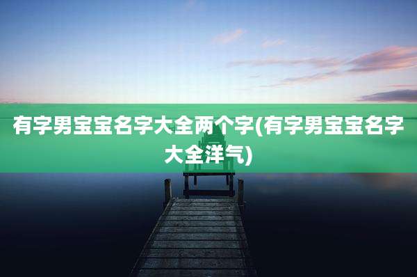 有字男宝宝名字大全两个字(有字男宝宝名字大全洋气)