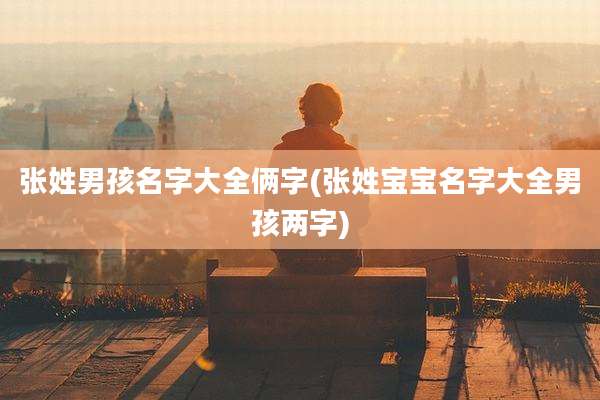 张姓男孩名字大全俩字(张姓宝宝名字大全男孩两字)