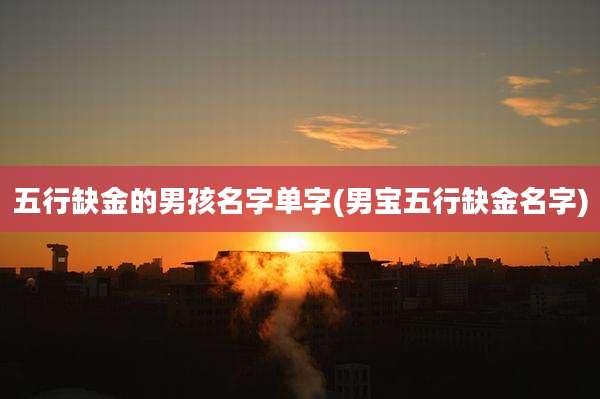 五行缺金的男孩名字单字(男宝五行缺金名字)