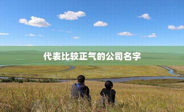 代表比较正气的公司名字
