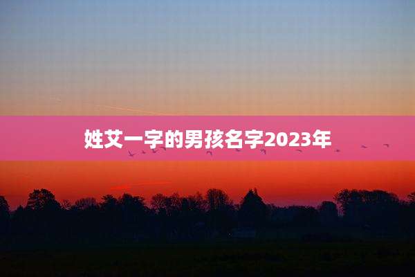 姓艾一字的男孩名字2023年