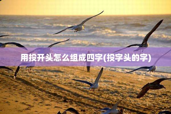 用投开头怎么组成四字(投字头的字)