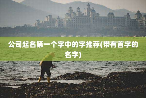 公司起名第一个字中的字推荐(带有首字的名字)