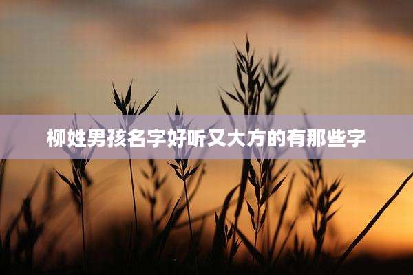 柳姓男孩名字好听又大方的有那些字