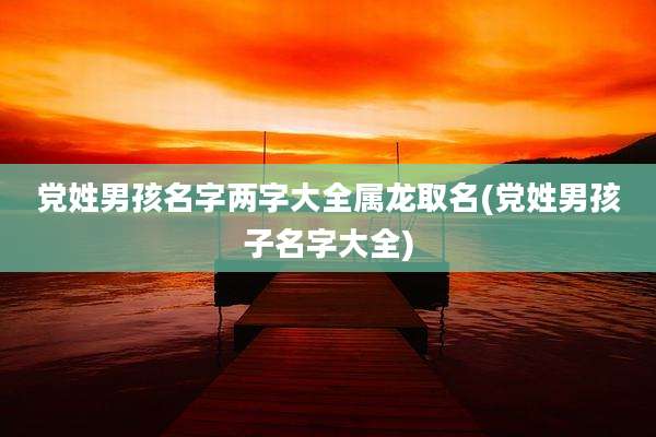 党姓男孩名字两字大全属龙取名(党姓男孩子名字大全)
