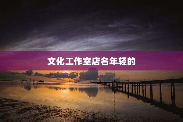 文化工作室店名年轻的