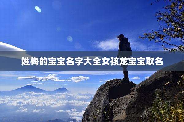 姓梅的宝宝名字大全女孩龙宝宝取名