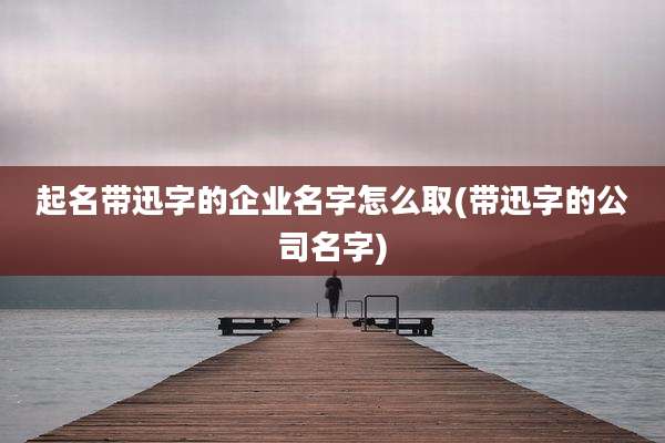 起名带迅字的企业名字怎么取(带迅字的公司名字)