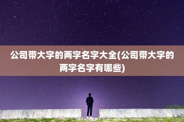 公司带大字的两字名字大全(公司带大字的两字名字有哪些)