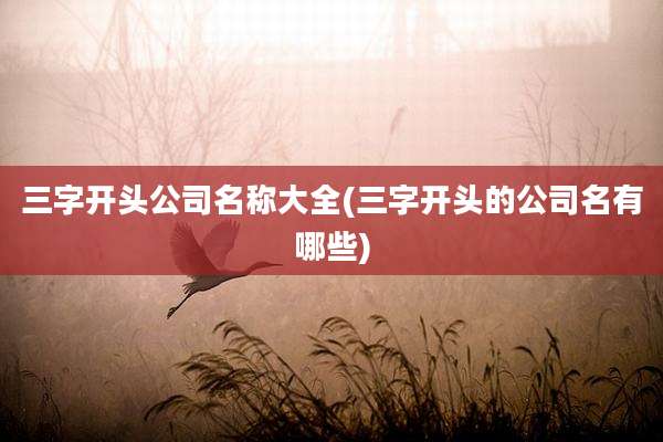 三字开头公司名称大全(三字开头的公司名有哪些)