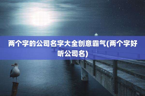 两个字的公司名字大全创意霸气(两个字好听公司名)
