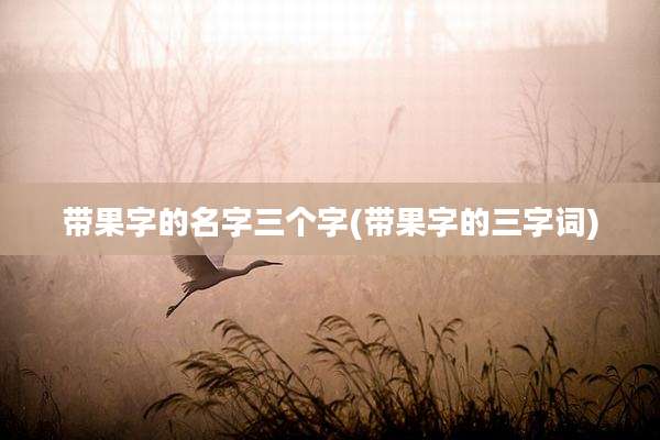 带果字的名字三个字(带果字的三字词)