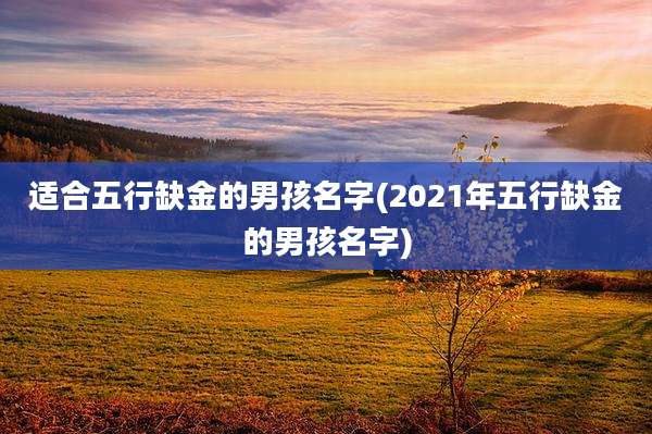 适合五行缺金的男孩名字(2021年五行缺金的男孩名字)