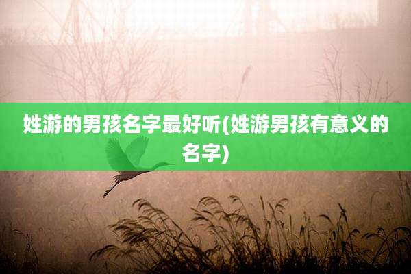 姓游的男孩名字最好听(姓游男孩有意义的名字)