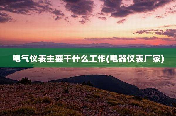 电气仪表主要干什么工作(电器仪表厂家)