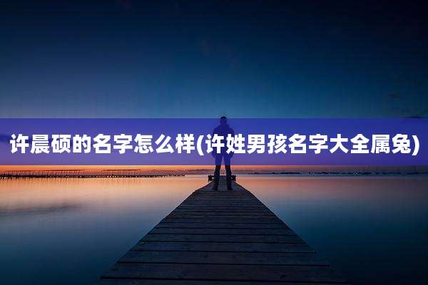 许晨硕的名字怎么样(许姓男孩名字大全属兔)
