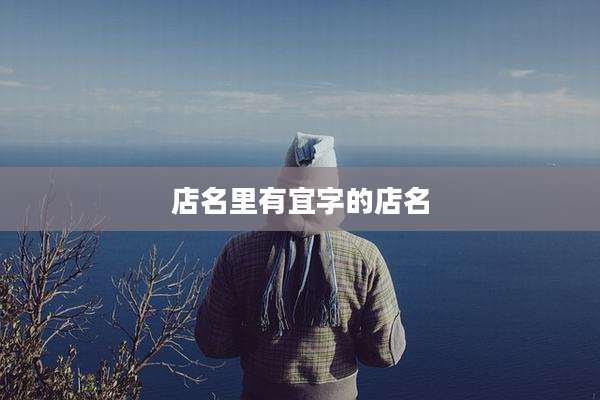 店名里有宜字的店名