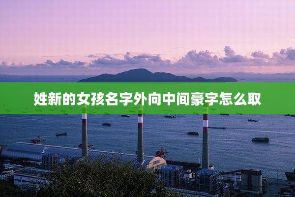 姓新的女孩名字外向中间豪字怎么取