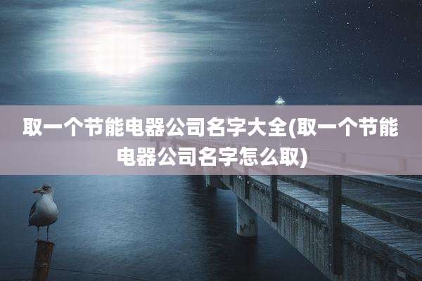 取一个节能电器公司名字大全(取一个节能电器公司名字怎么取)