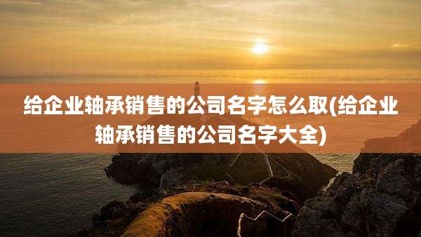 给企业轴承销售的公司名字怎么取(给企业轴承销售的公司名字大全)