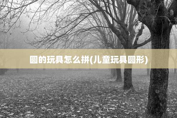 圆的玩具怎么拼(儿童玩具圆形)