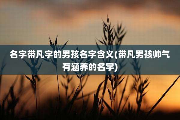 名字带凡字的男孩名字含义(带凡男孩帅气有涵养的名字)