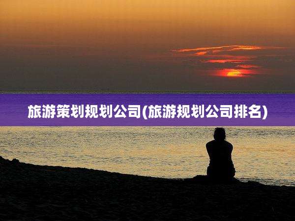 旅游策划规划公司(旅游规划公司排名)