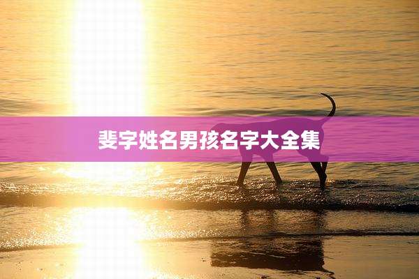 斐字姓名男孩名字大全集