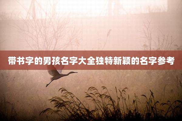 带书字的男孩名字大全独特新颖的名字参考
