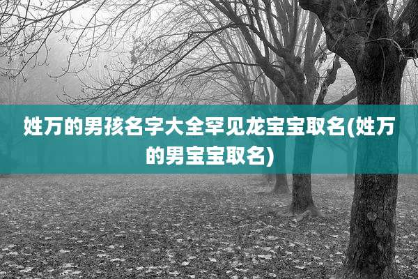 姓万的男孩名字大全罕见龙宝宝取名(姓万的男宝宝取名)