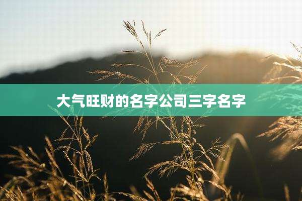 大气旺财的名字公司三字名字