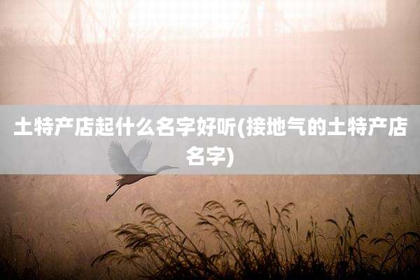 土特产店起什么名字好听(接地气的土特产店名字)