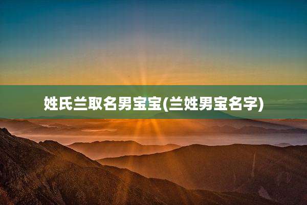 姓氏兰取名男宝宝(兰姓男宝名字)