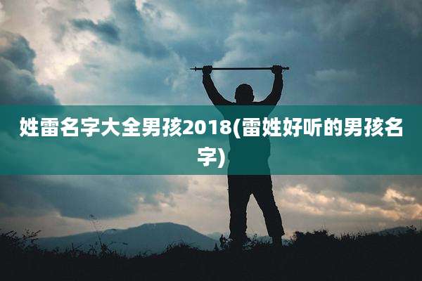 姓雷名字大全男孩2018(雷姓好听的男孩名字)