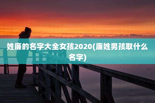 姓廉的名字大全女孩2020(廉姓男孩取什么名字)