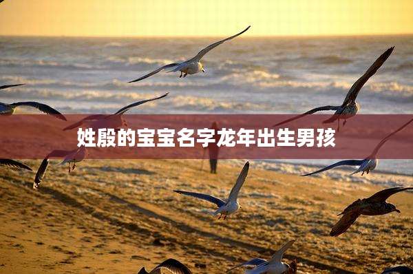 姓殷的宝宝名字龙年出生男孩