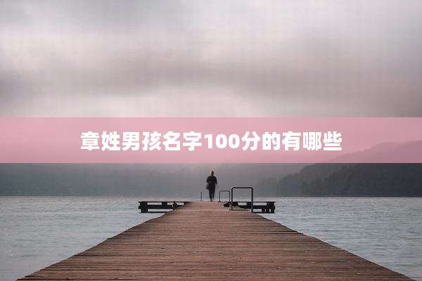 章姓男孩名字100分的有哪些