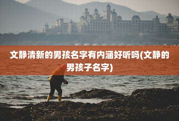 文静清新的男孩名字有内涵好听吗(文静的男孩子名字)